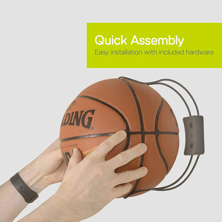 Delta Design Ball Holder Wall Mounted Sports Rack Wayfair Canada